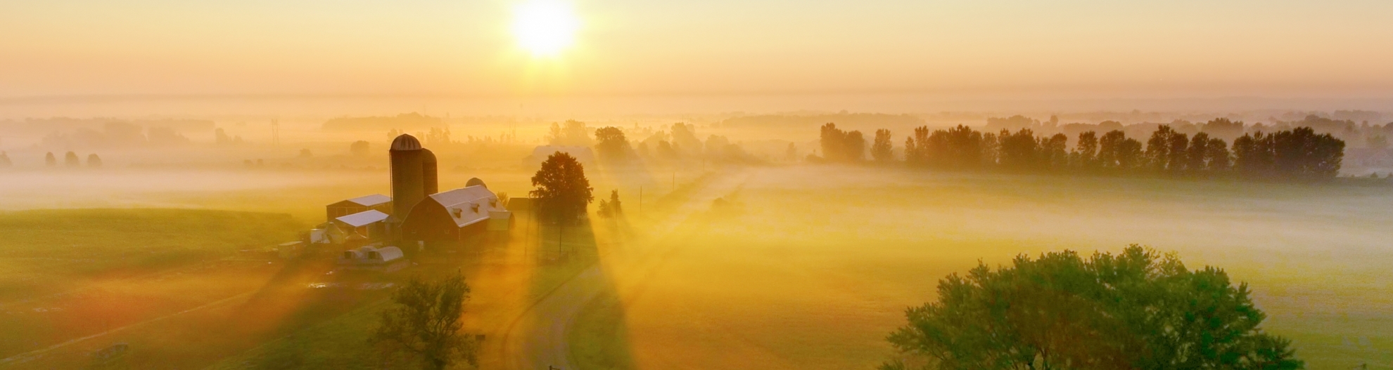 Aerial image of farm at sunrise 